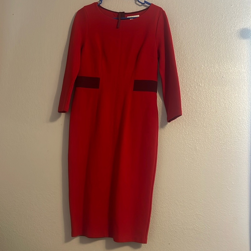 Biden dress 8 regular